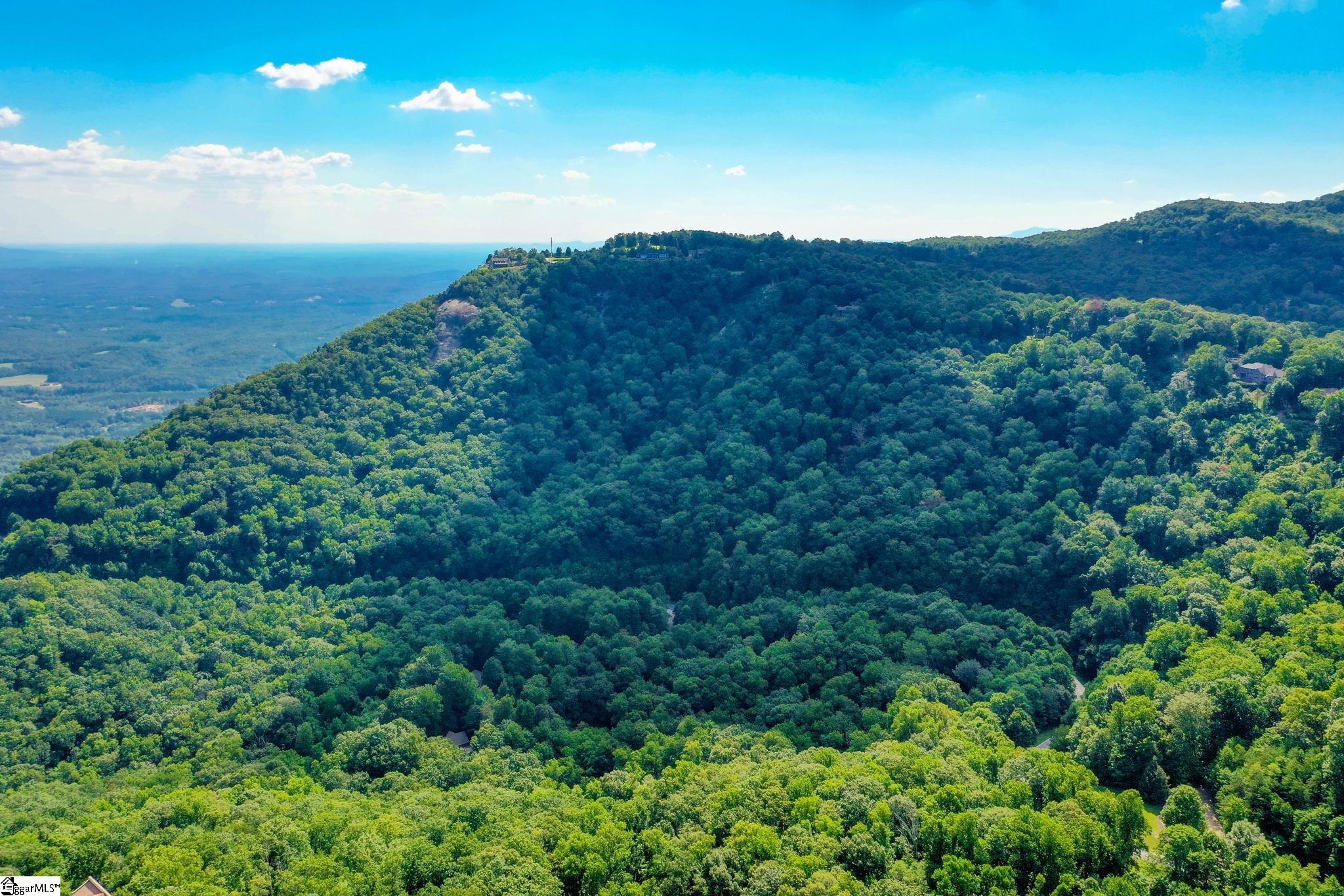 0 Moss Pink Way Landrum, SC 29356 - Photo 35 of 49
