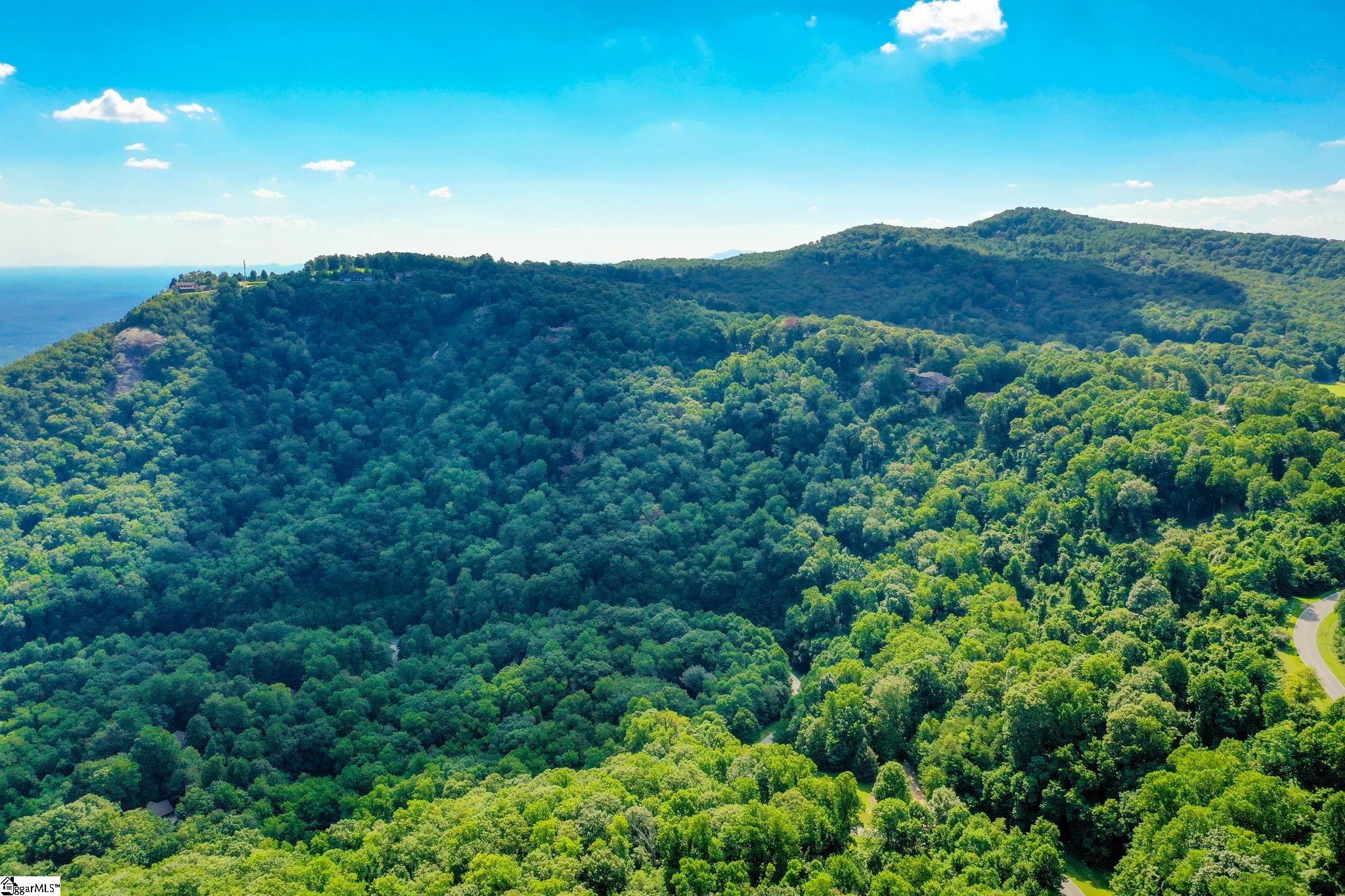 0 Moss Pink Way Landrum, SC 29356 - Photo 37 of 49