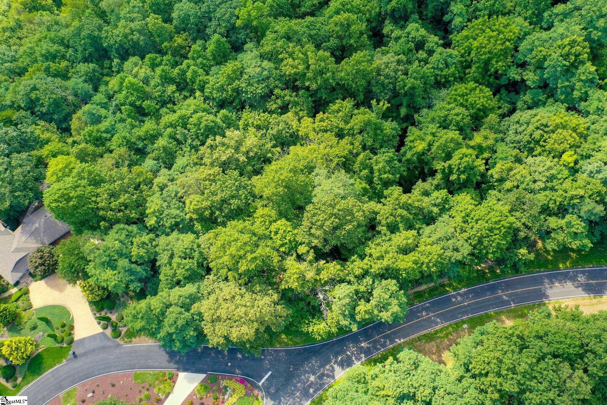 0 Moss Pink Way Landrum, SC 29356 - Photo 38 of 49