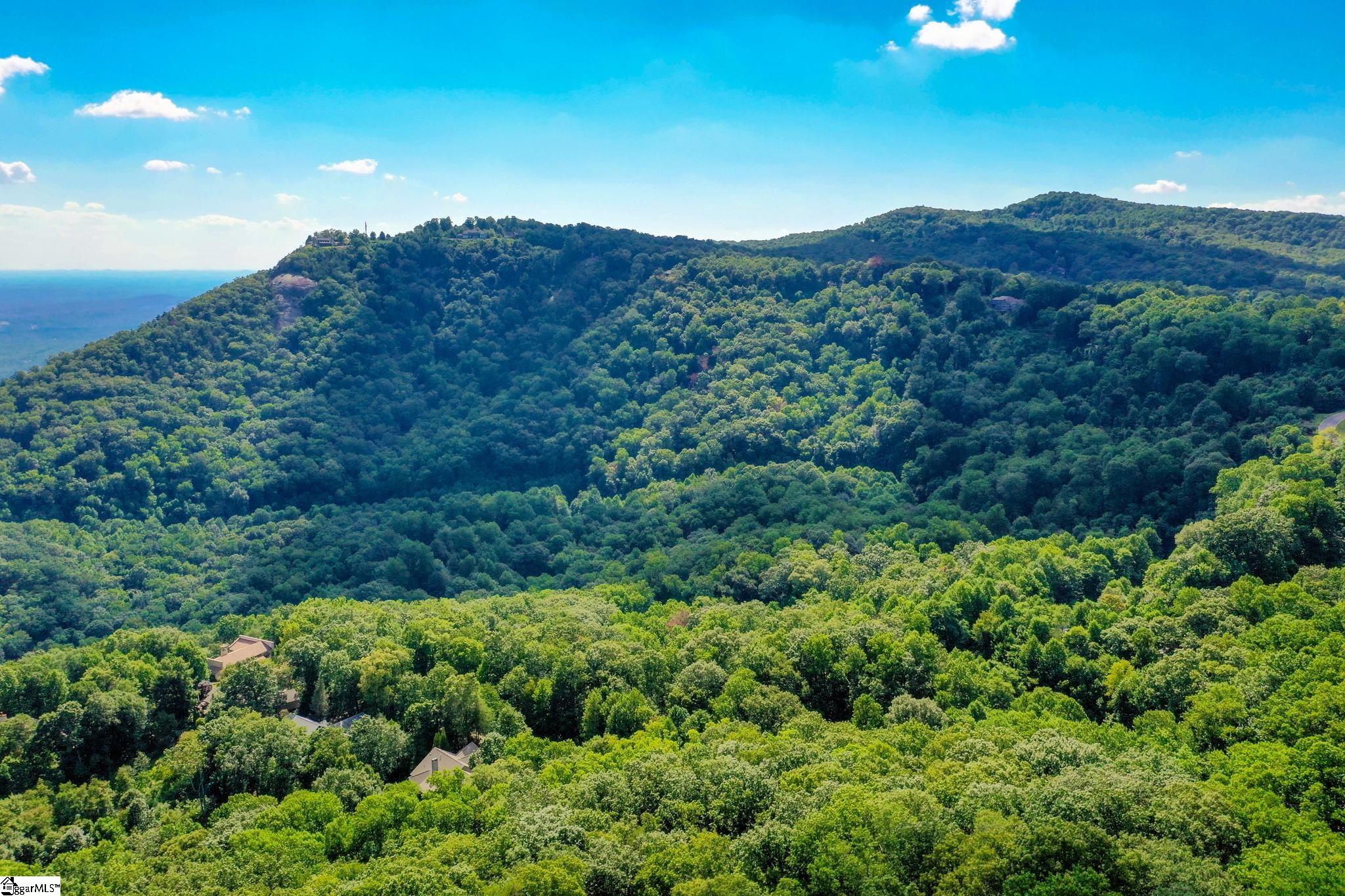 0 Moss Pink Way Landrum, SC 29356 - Photo 39 of 49