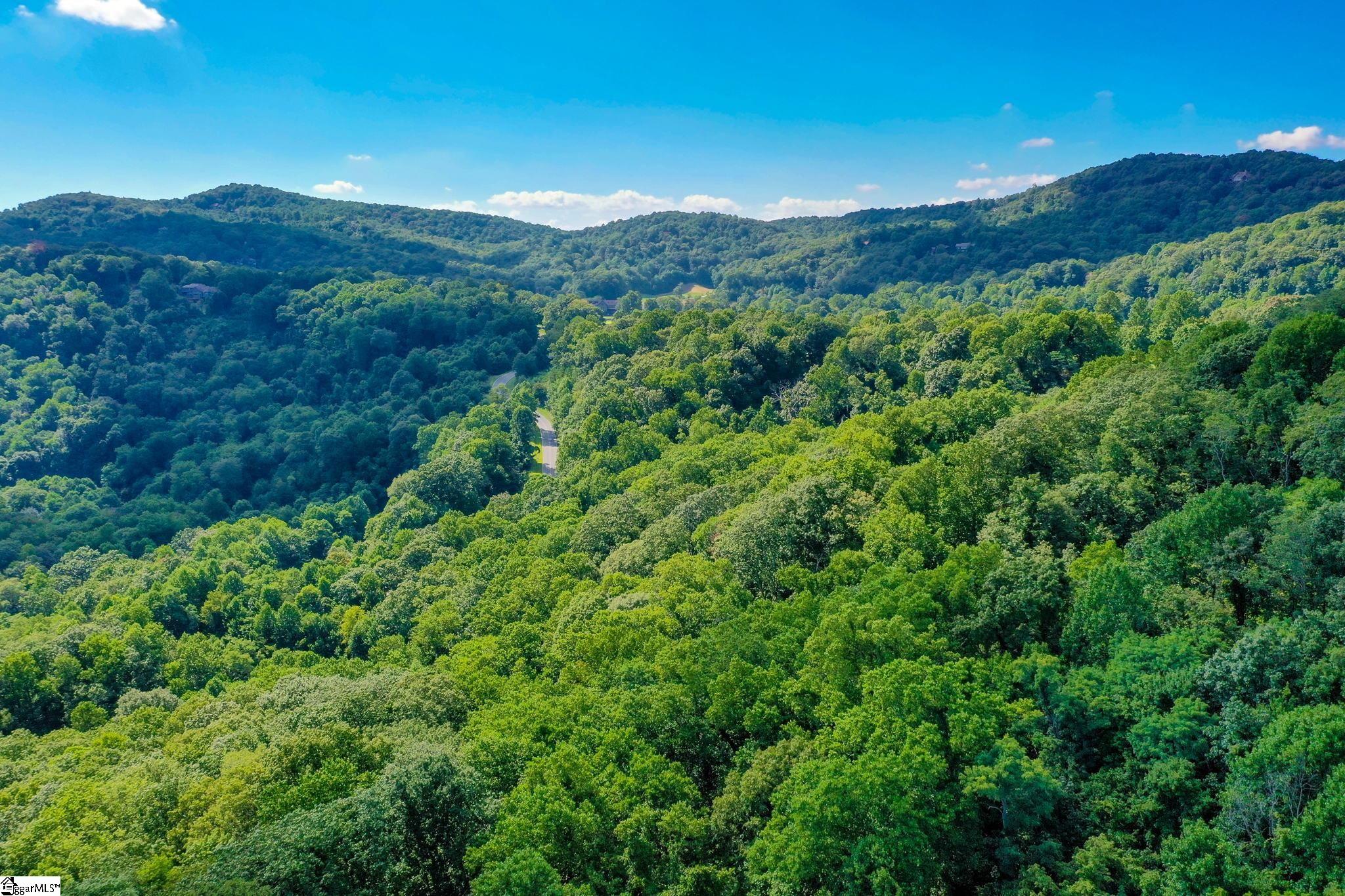 0 Moss Pink Way Landrum, SC 29356 - Photo 40 of 49