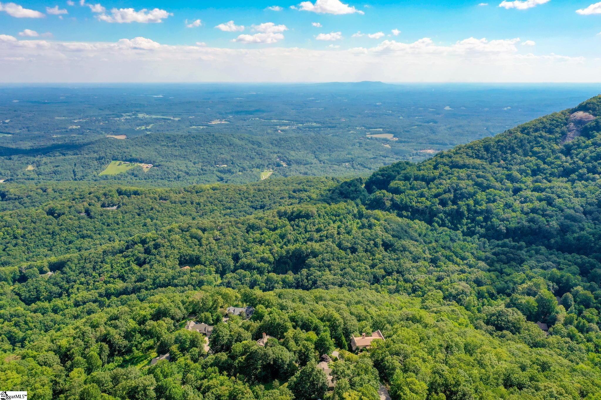 0 Moss Pink Way Landrum, SC 29356 - Photo 4 of 49