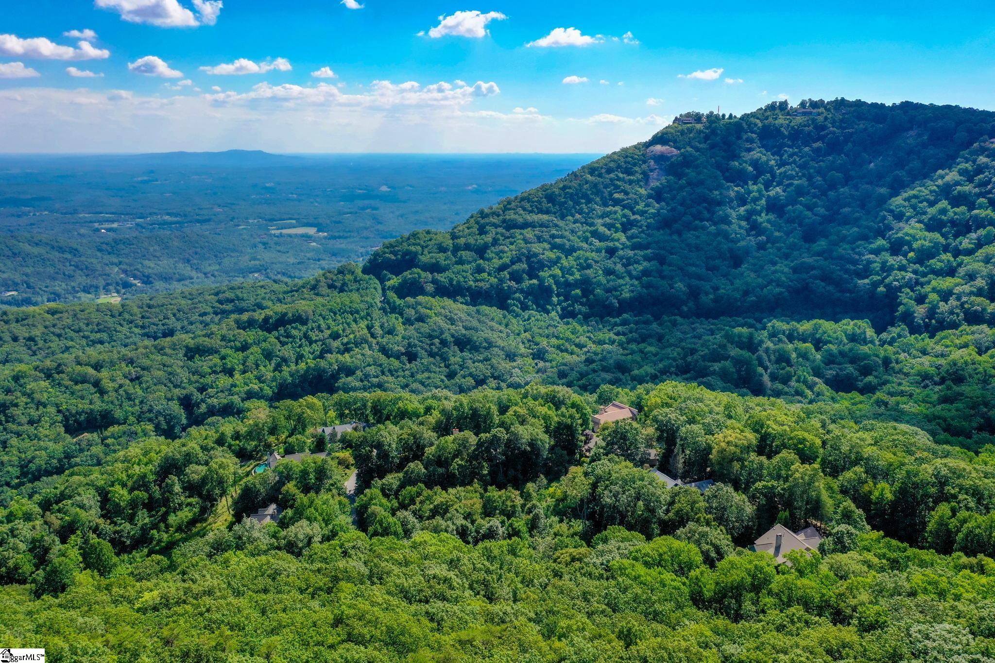 0 Moss Pink Way Landrum, SC 29356 - Photo 41 of 49