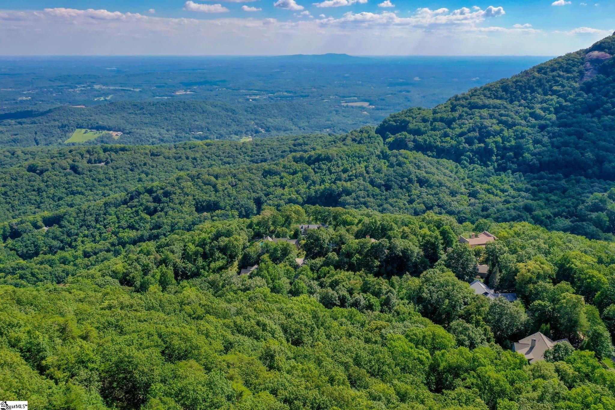 0 Moss Pink Way Landrum, SC 29356 - Photo 43 of 49