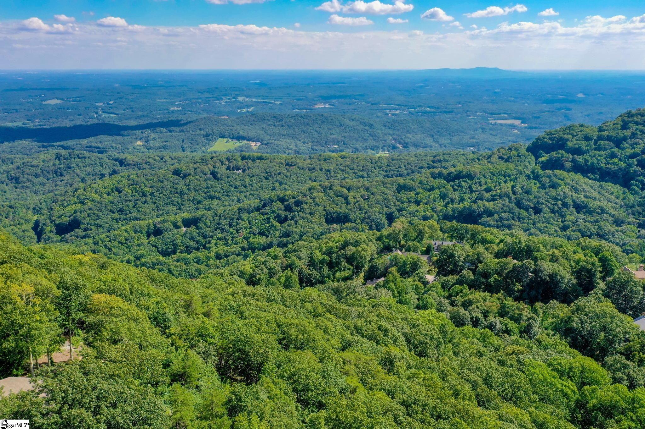 0 Moss Pink Way Landrum, SC 29356 - Photo 44 of 49