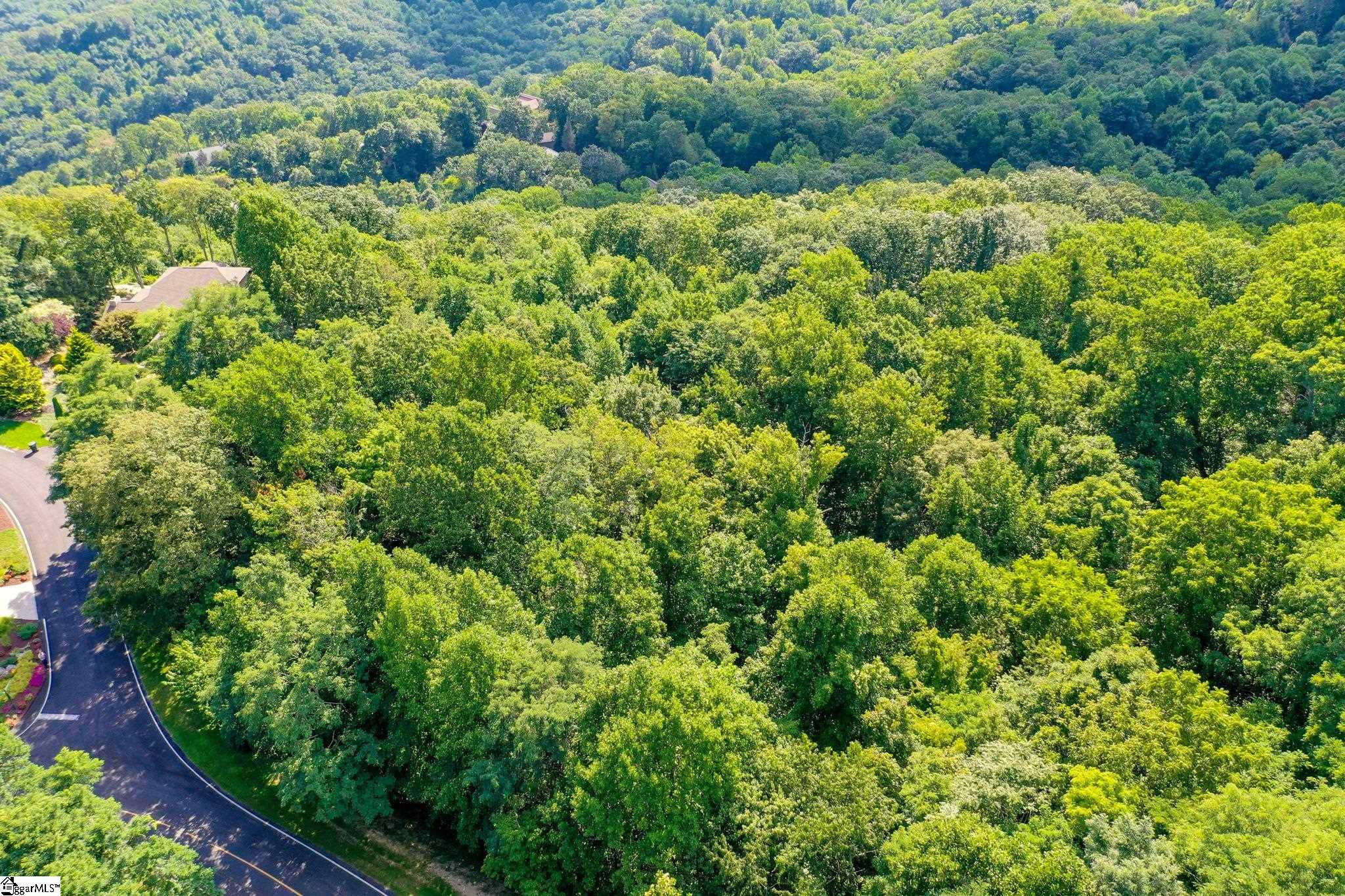 0 Moss Pink Way Landrum, SC 29356 - Photo 45 of 49