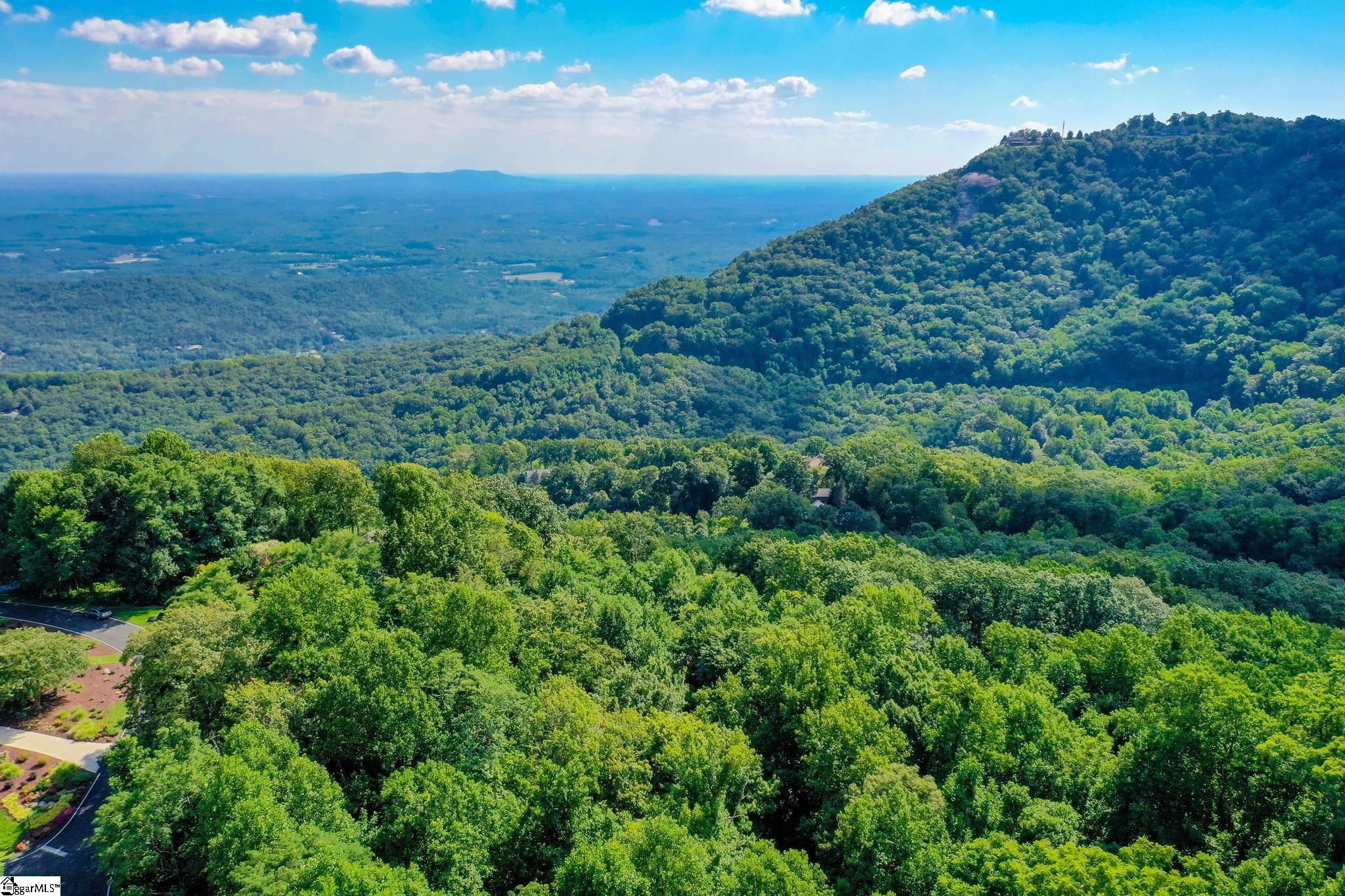 0 Moss Pink Way Landrum, SC 29356 - Photo 46 of 49