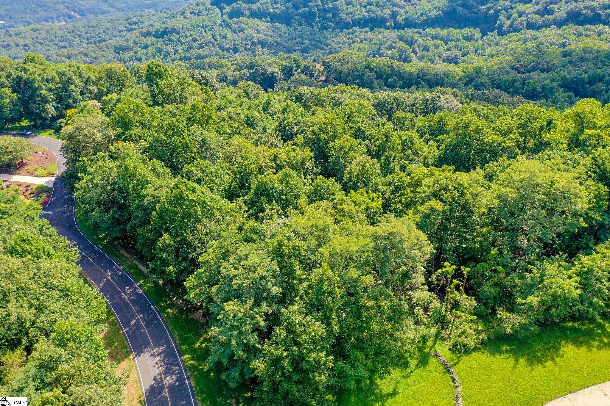 0 Moss Pink Way Landrum, SC 29356 - Photo 47 of 49