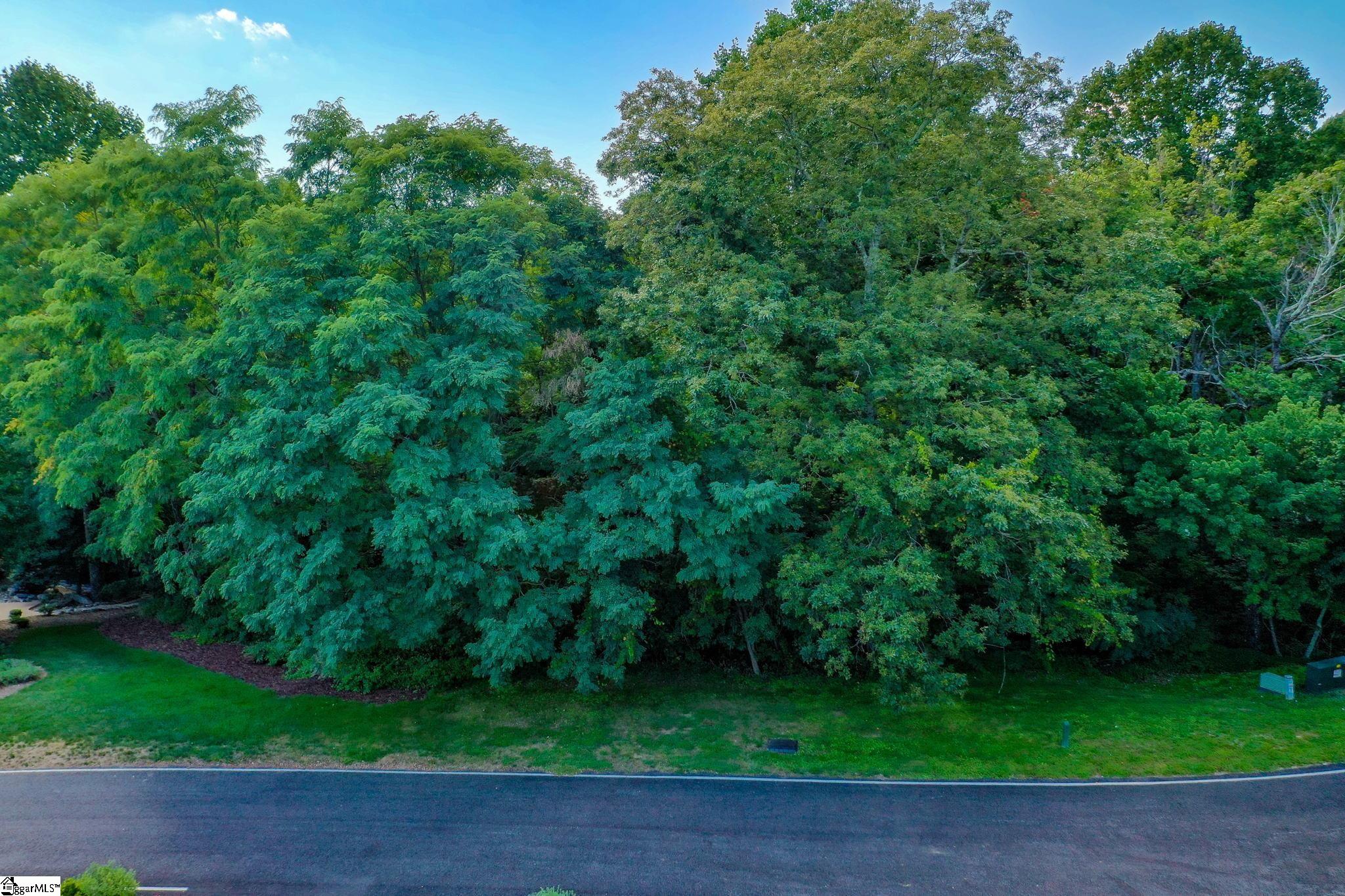 0 Moss Pink Way Landrum, SC 29356 - Photo 48 of 49