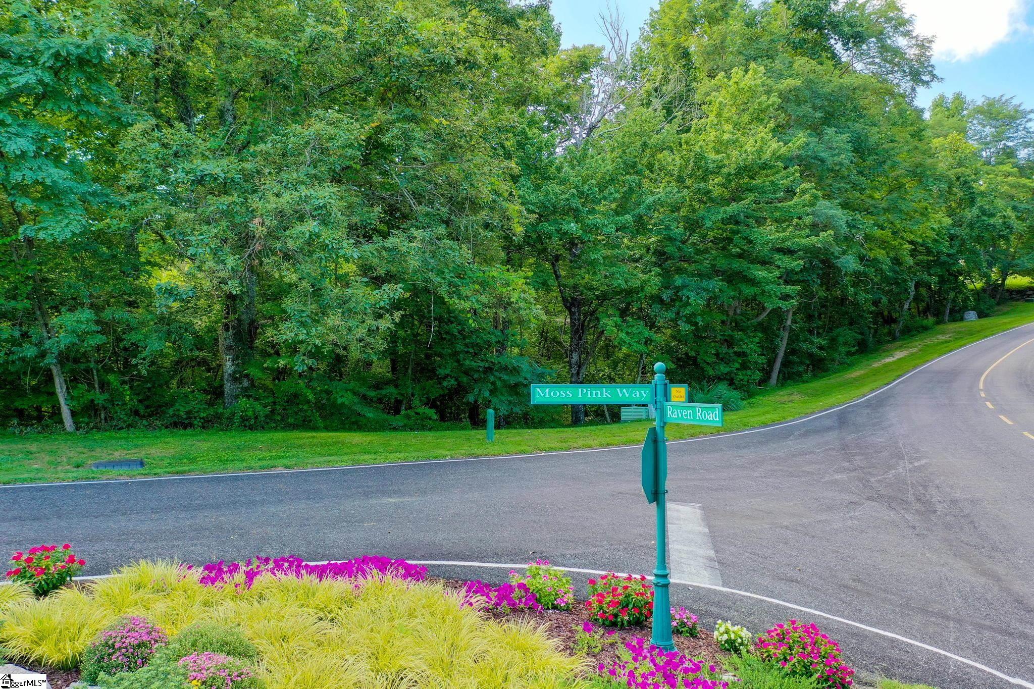 0 Moss Pink Way Landrum, SC 29356 - Photo 49 of 49