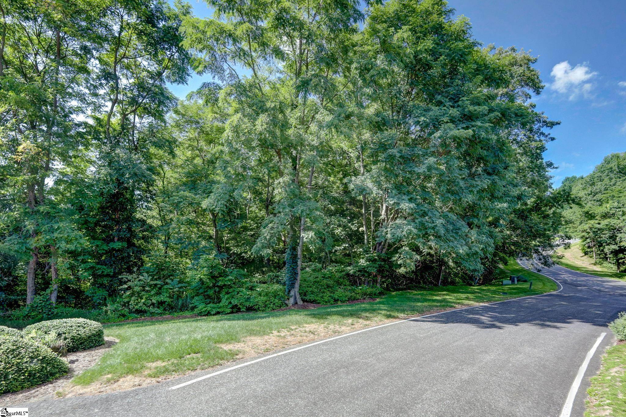 0 Moss Pink Way Landrum, SC 29356 - Photo 10 of 49