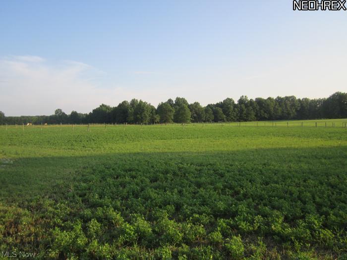 11299 Blott Road North Jackson, OH 44451 - Photo 3 of 3 Gallery Image 3