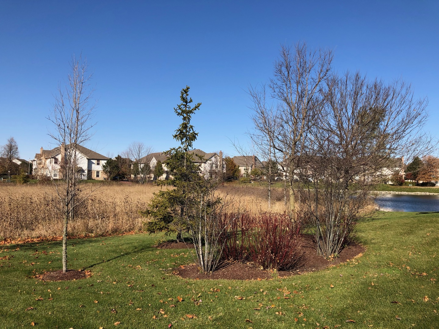2010 Ivy Ridge Drive Hoffman Estates, IL 60192 - Photo 33 of 39