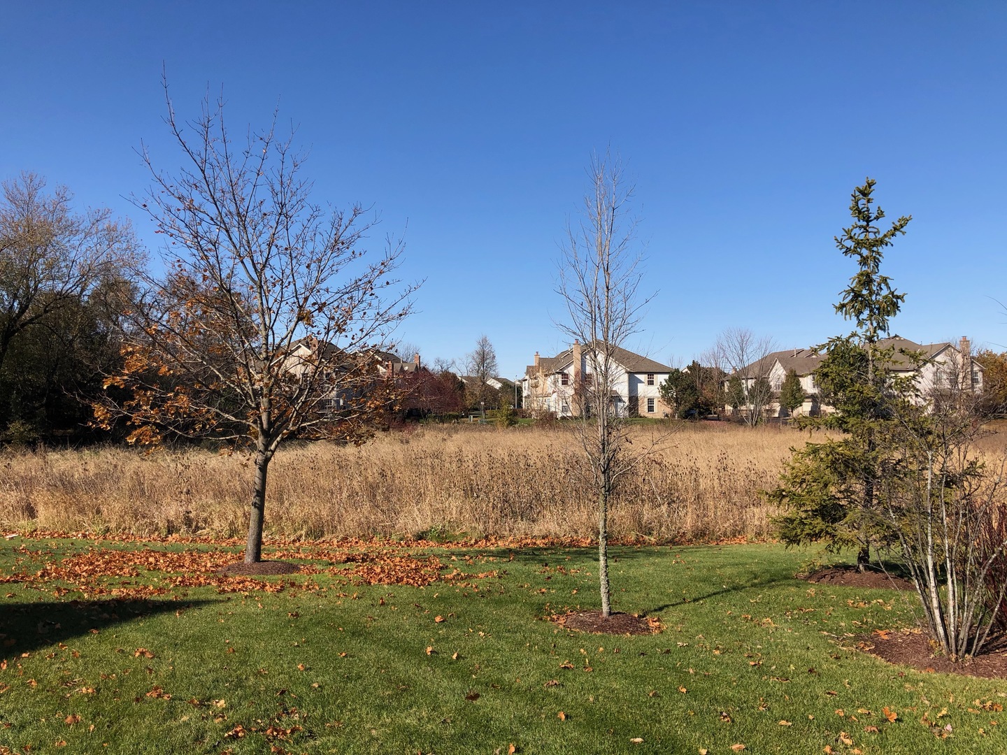2010 Ivy Ridge Drive Hoffman Estates, IL 60192 - Photo 34 of 39