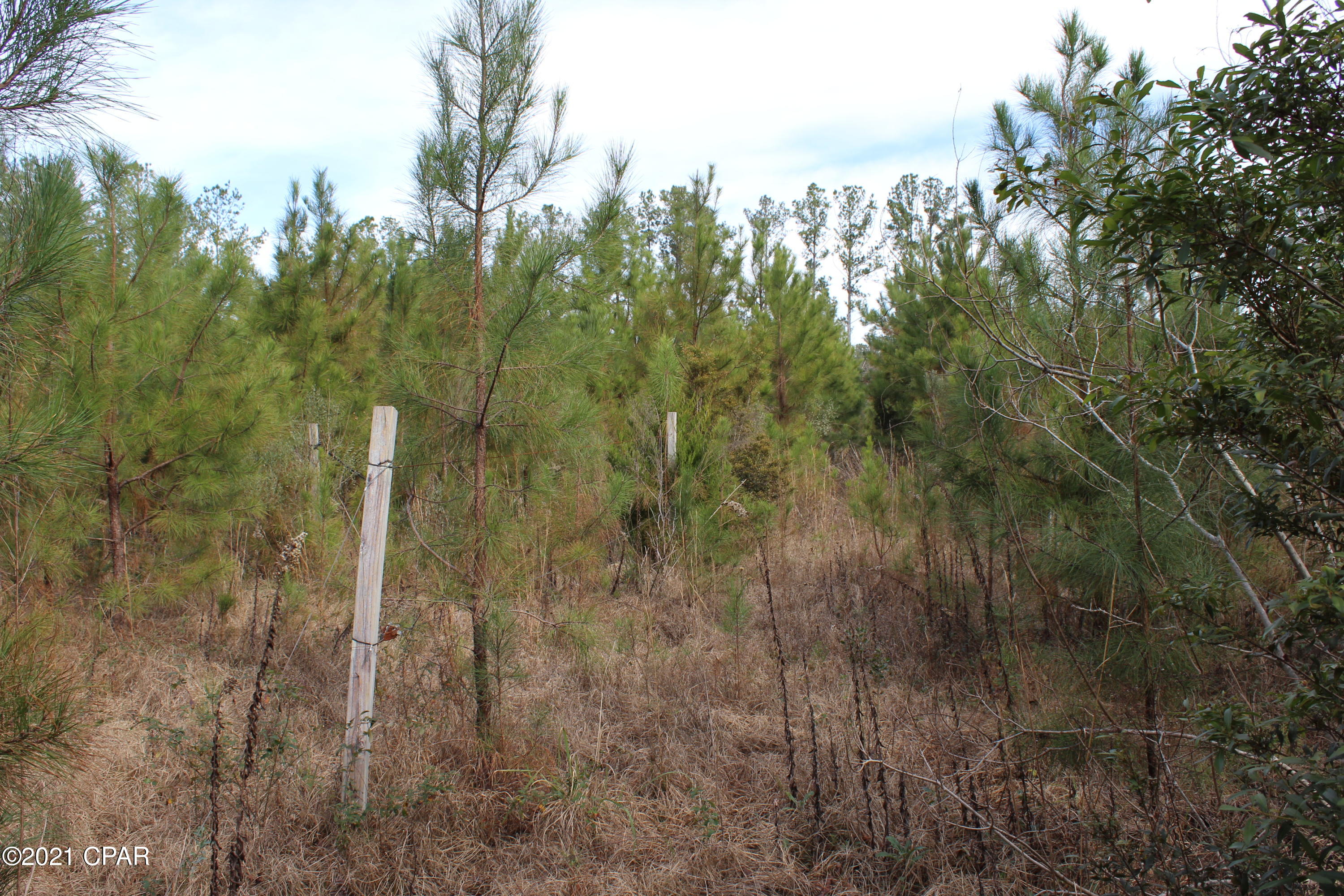 3525 Spool Mill Road Vernon, FL 32462 - Photo 50 of 54 Gallery Image 50