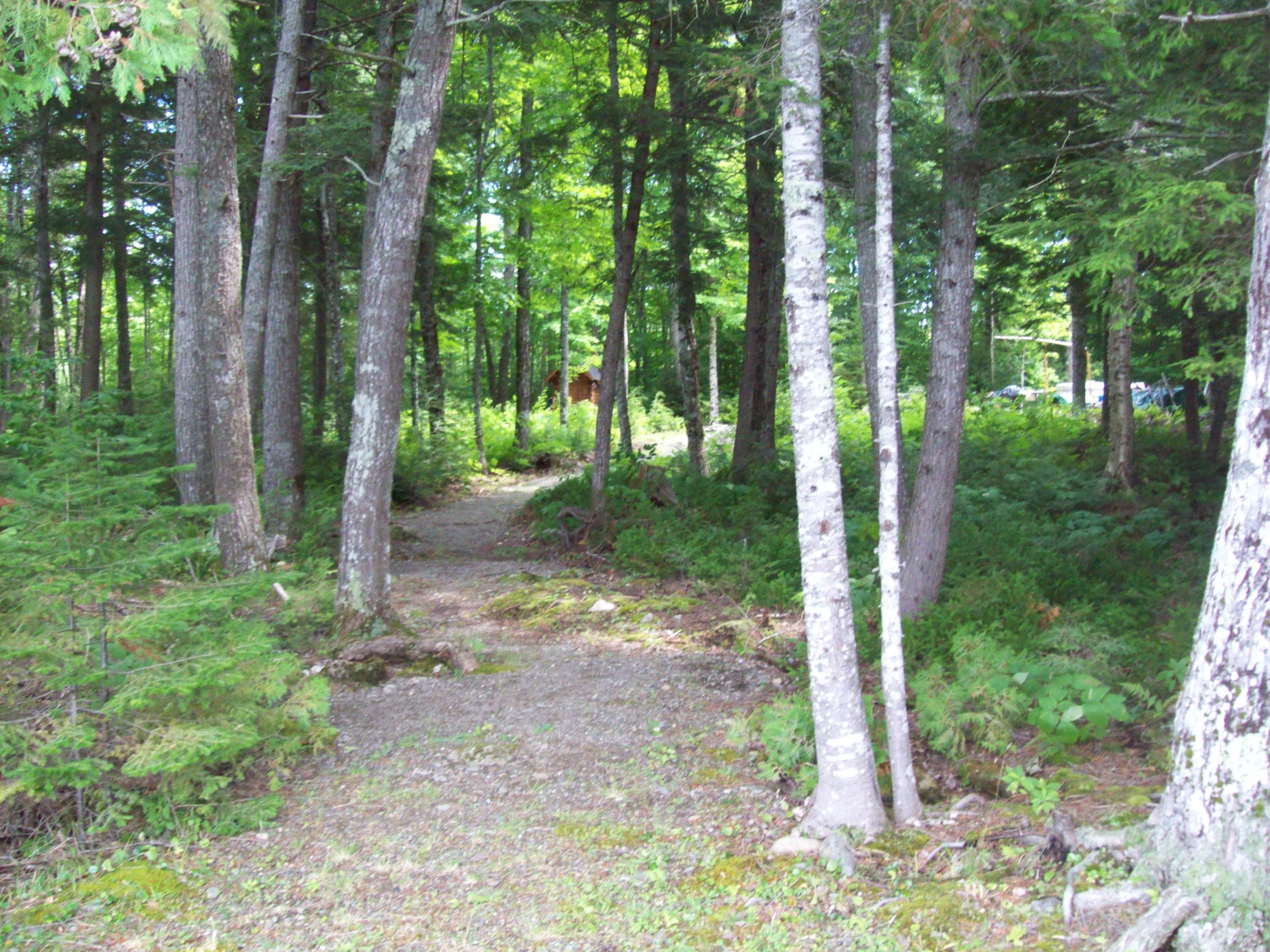 Tbd Stevens Road Carroll Plt, ME 04487 - Photo 18 of 19 100_0527