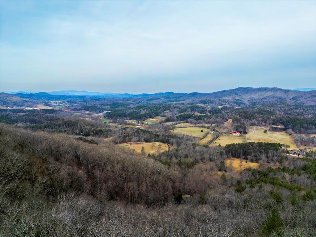 Lot 5 Mason Road Brasstown, NC 28902 - Photo 5 of 11 Gallery Image 5