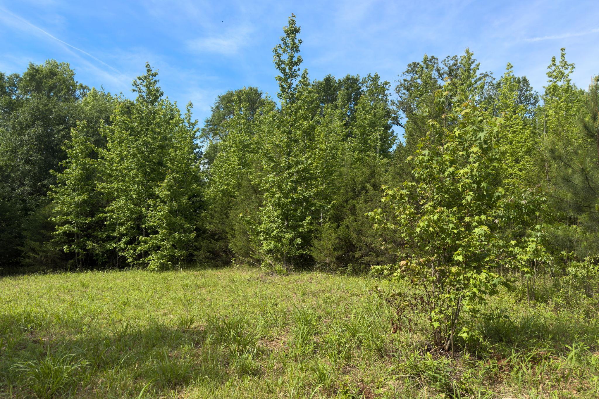 Tbd Melvin Hill Road Campobello, SC 29322 - Photo 10 of 29