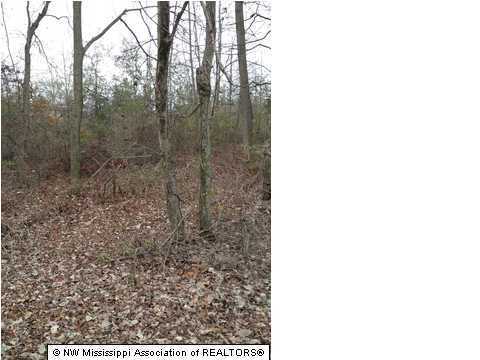 1 Shamrock Loop Coldwater, MS 38618 - Photo 1 of 2 Primary Photo