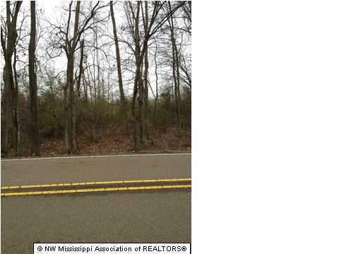 1 Shamrock Loop Coldwater, MS 38618 - Photo 2 of 2 Additional Photo