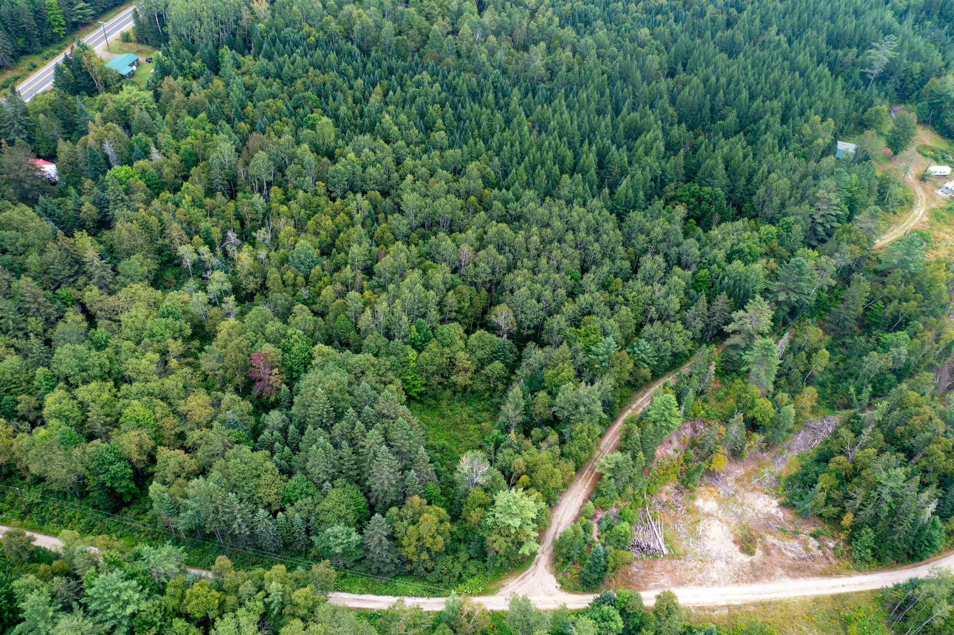 0 Boise Cascade Road Dummer, NH 03588 - Photo 12 of 14