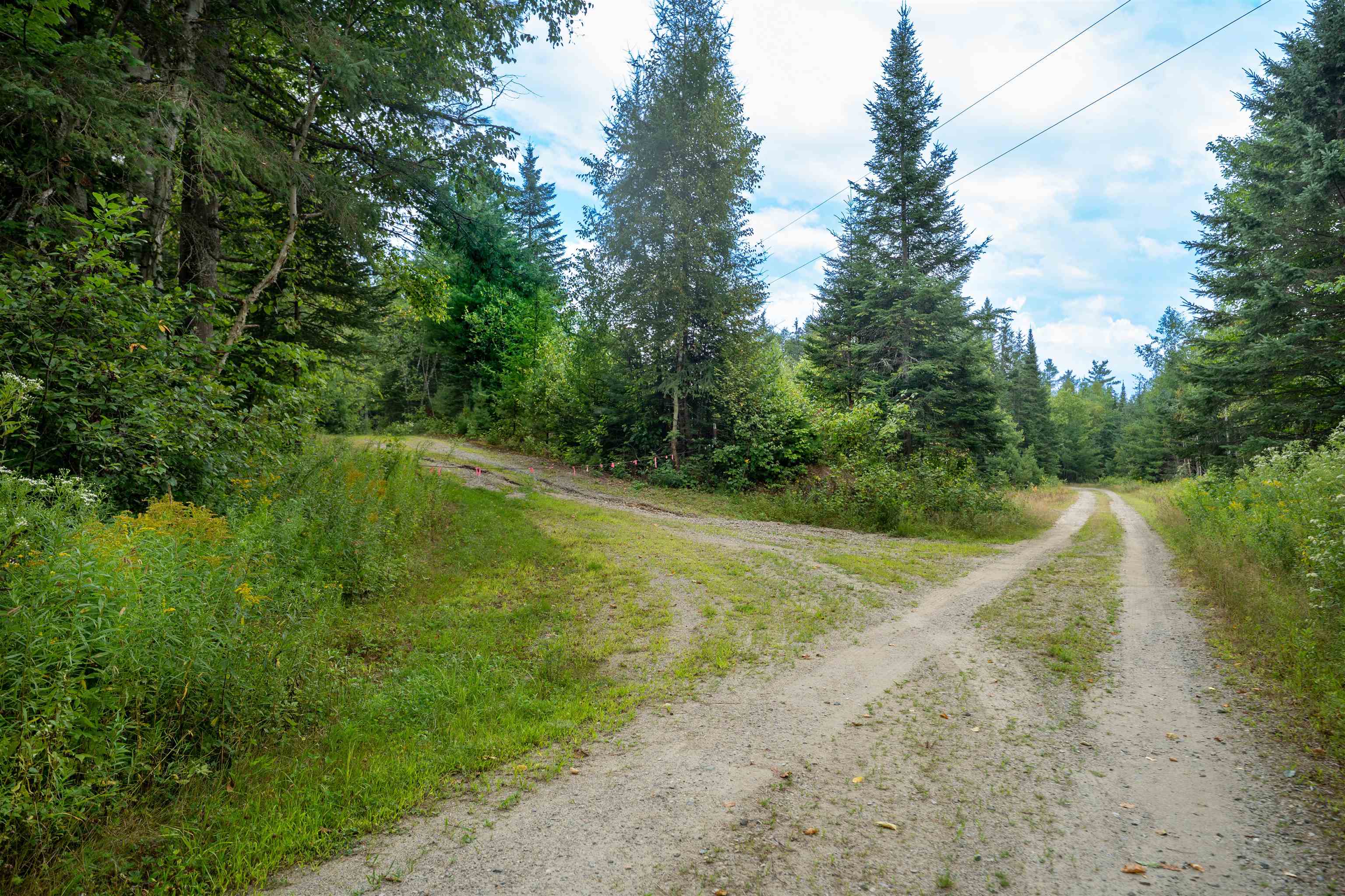 0 Boise Cascade Road Dummer, NH 03588 - Photo 2 of 14