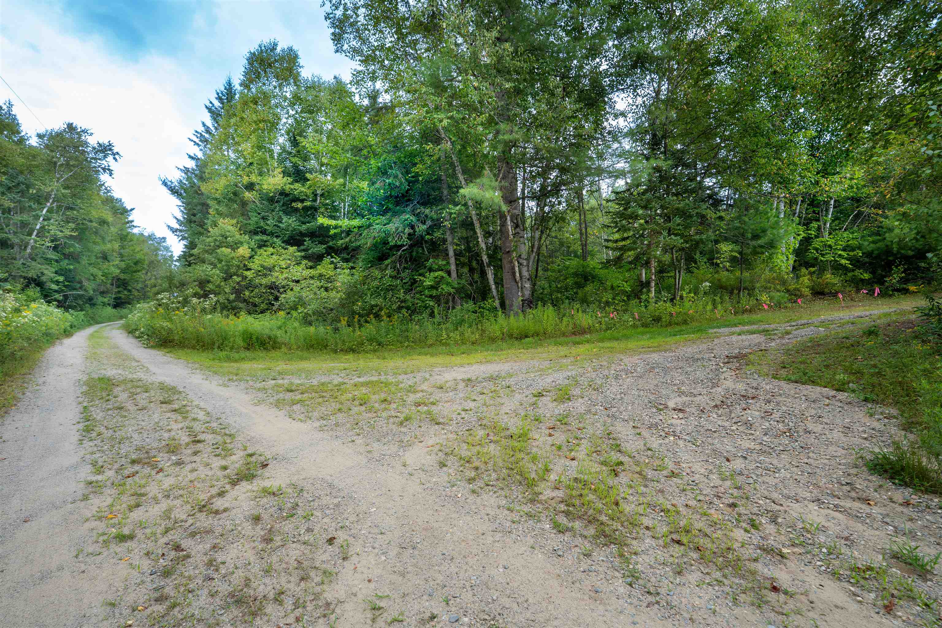 0 Boise Cascade Road Dummer, NH 03588 - Photo 3 of 14