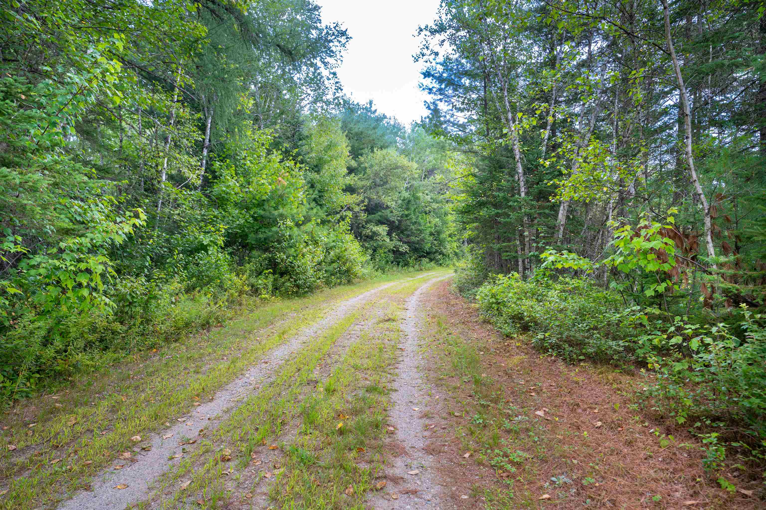 0 Boise Cascade Road Dummer, NH 03588 - Photo 5 of 14