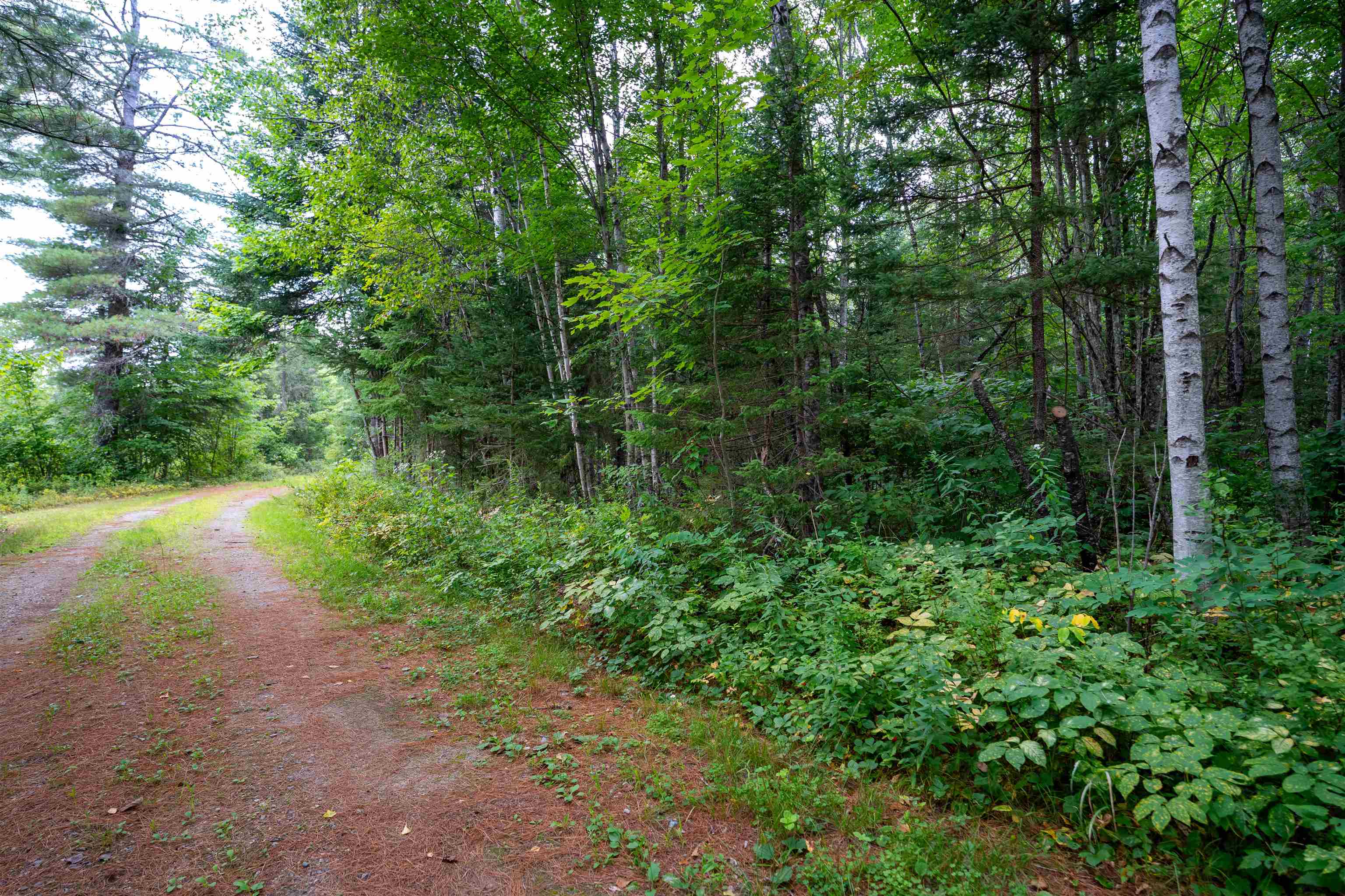 0 Boise Cascade Road Dummer, NH 03588 - Photo 7 of 14