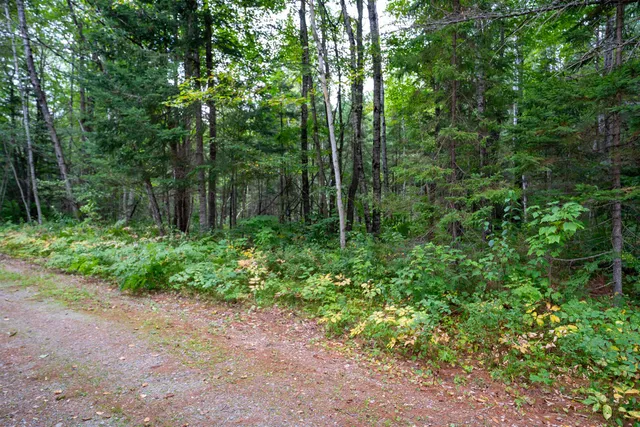 $119,000 | 0 Boise Cascade Road, Dummer, NH 03588