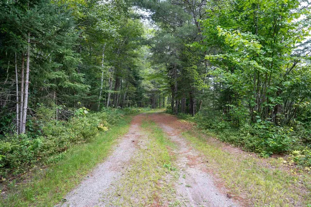 $119,000 | 0 Boise Cascade Road, Dummer, NH 03588