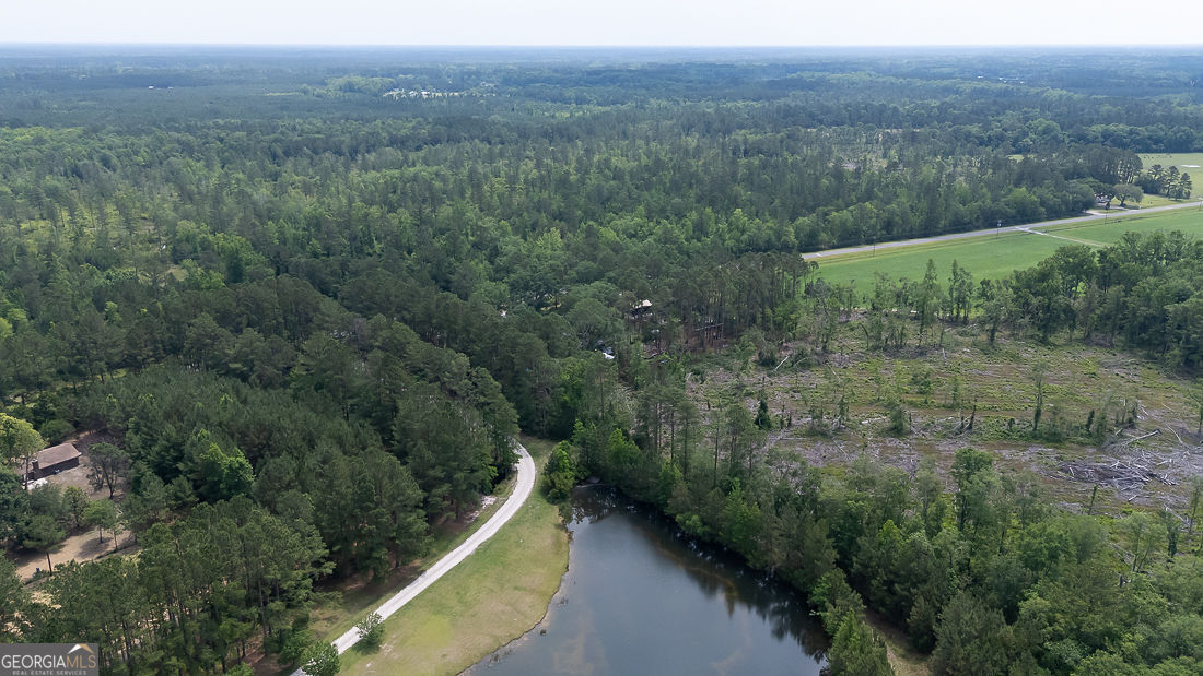 0 Old Louisville Road, Unit LOT 3 Guyton, GA 31312 - Photo 16 of 18 a view of a forest with a mountain