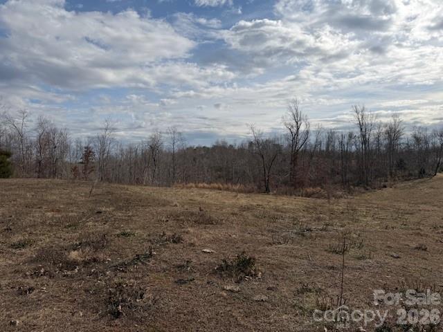 2114 Finger Bridge Road Hickory, NC 28602 - Photo 11 of 14 a view of a dry yard with trees