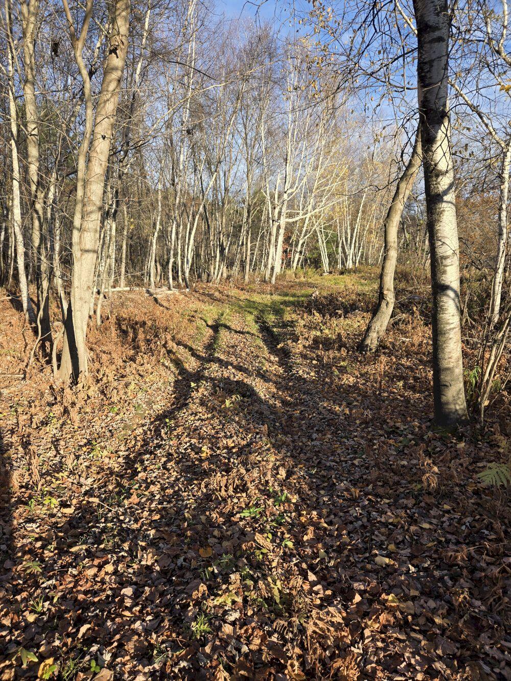 0 Intervale Road Jay, ME 04239 - Photo 6 of 6