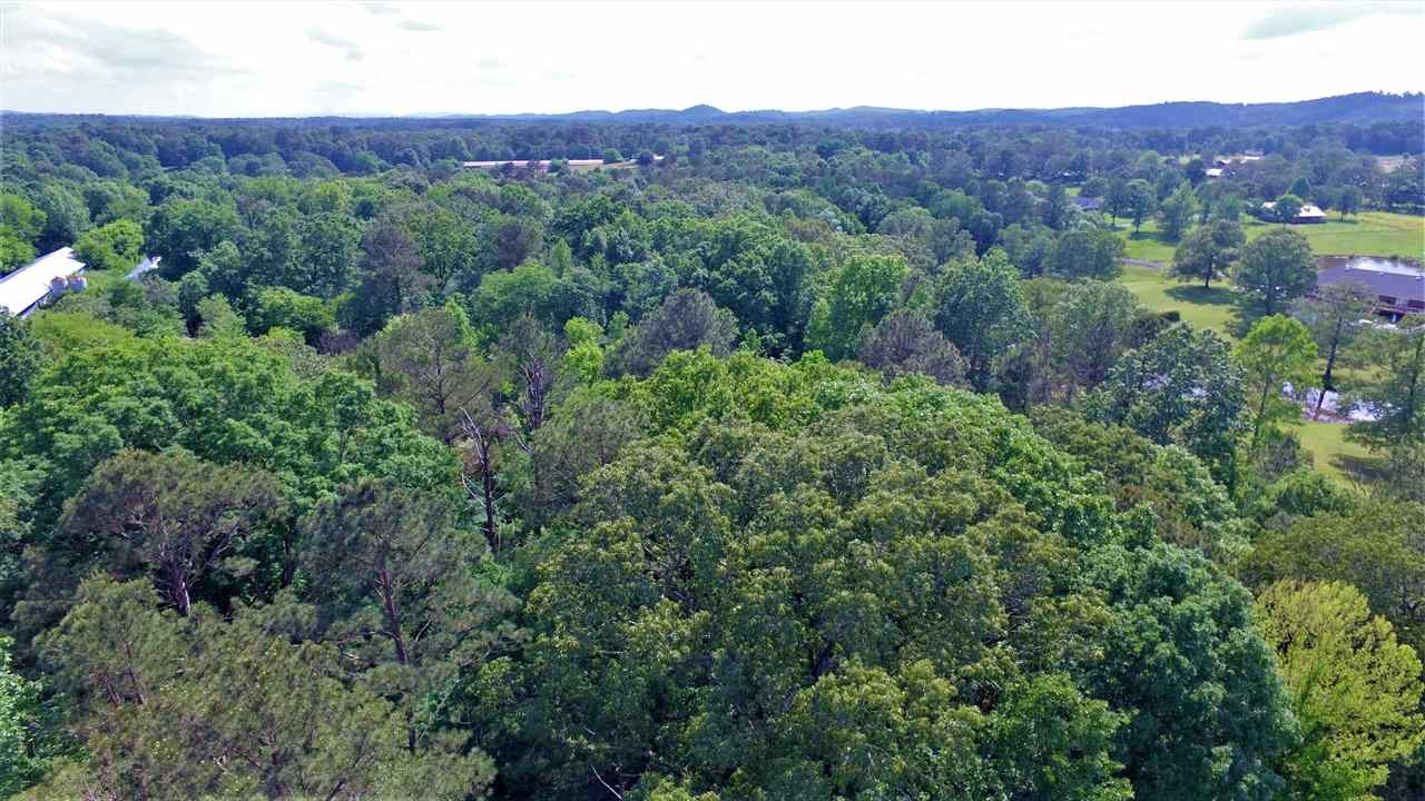 0 Sheep Ranch Road Southeast Cleveland, TN 37323 - Photo 12 of 21 an aerial view of a houses with a lush green hillside