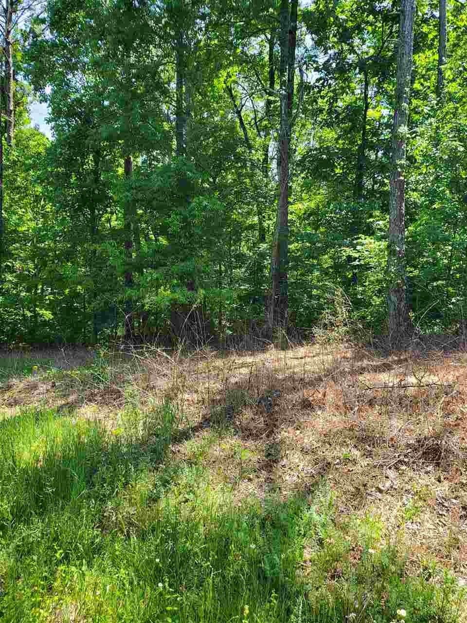 0 Sheep Ranch Road Southeast Cleveland, TN 37323 - Photo 8 of 21 a view of a lush green forest
