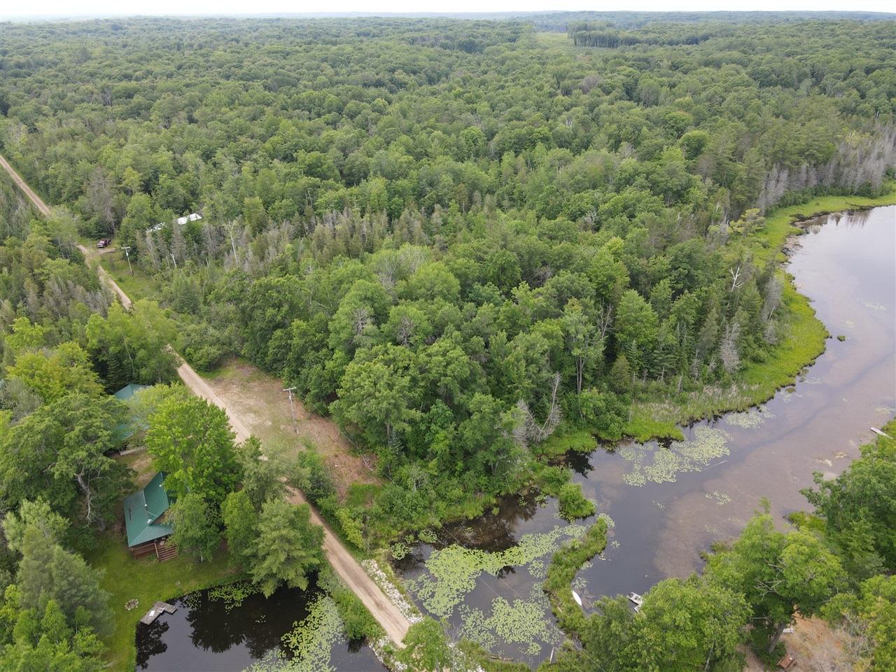 11401 Little George Lake Road Gladwin, MI 48624 - Photo 29 of 98
