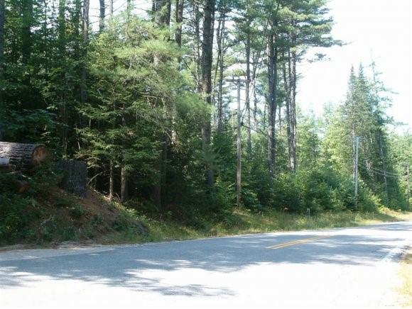63 Province Lake Road Effingham, NH 03882 - Photo 1 of 1
