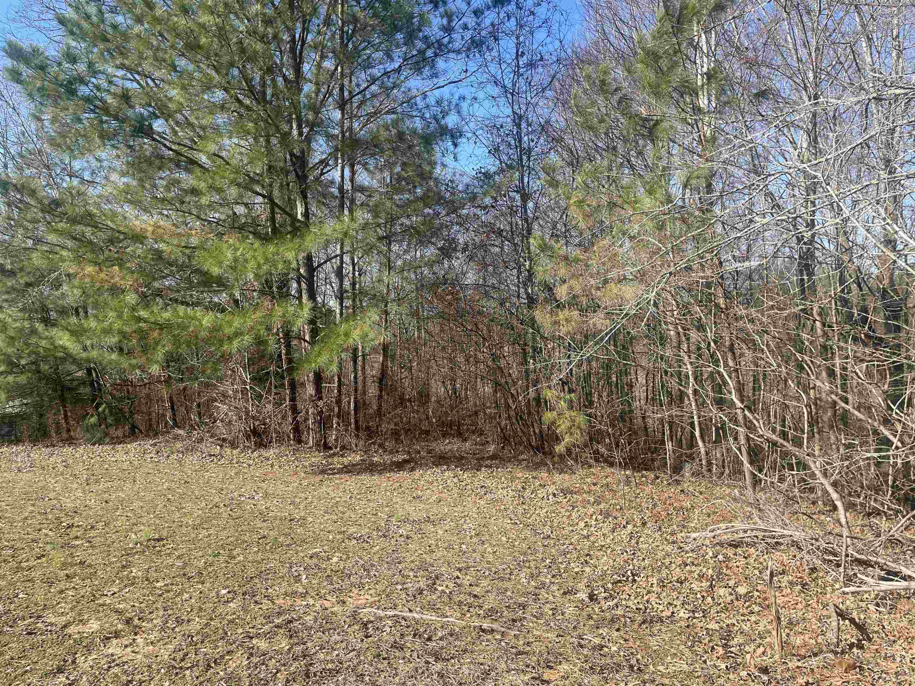 964 Beech Grove Road Huron, TN 38345 - Photo 17 of 18 Photo 17