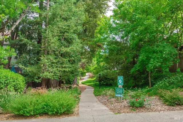a view of a pathway of a park