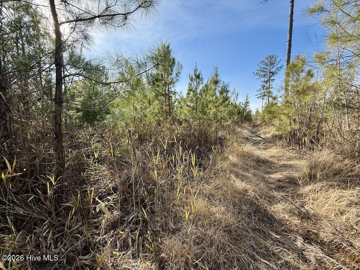 0 Old Washington Road Vanceboro, NC 28586 - Photo 30 of 34 30