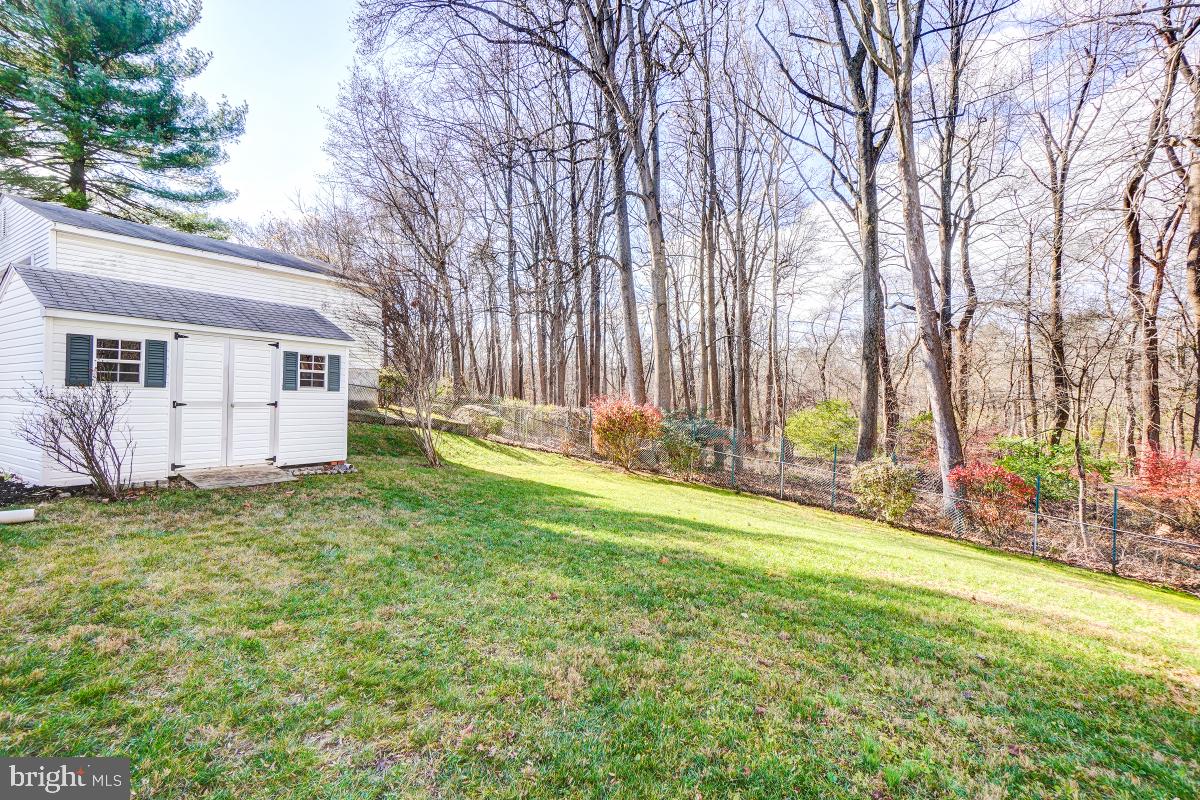 11818 Dewey Road Silver Spring, MD 20906 - Photo 11 of 46 Backyard