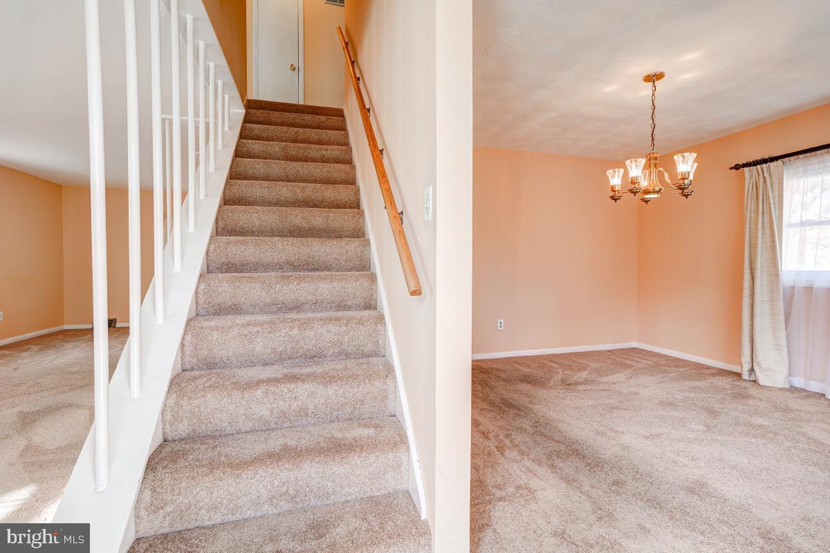 11818 Dewey Road Silver Spring, MD 20906 - Photo 13 of 46 Entry