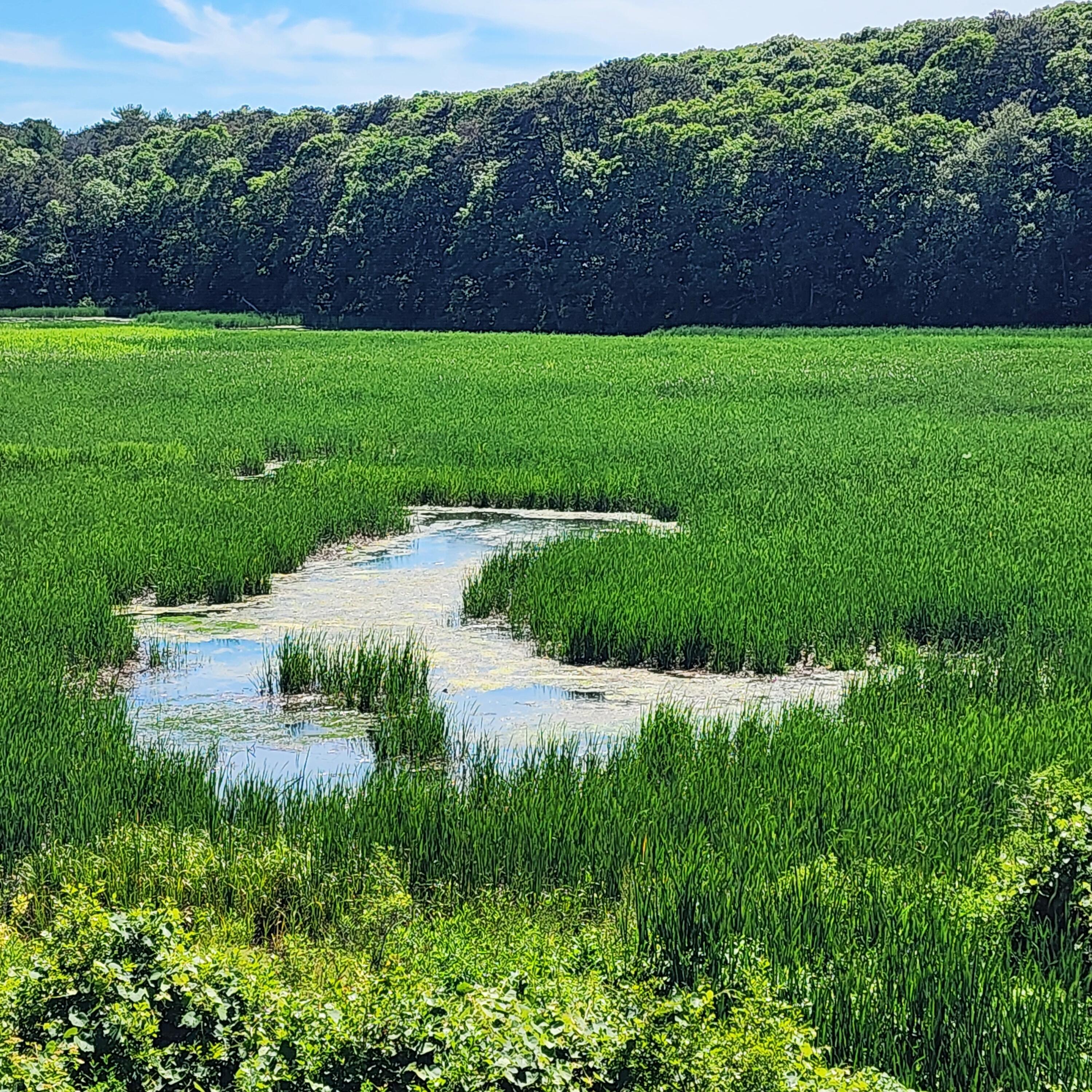 143 Abbey Gate Road Cotuit, MA 02635 - Photo 1 of 51 view of river