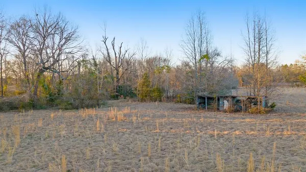 a view of a backyard with large trees