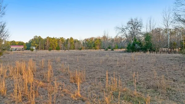 a view of a field with trees in the background