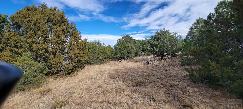 Lot 34 Silver Spur Road Walsenburg, CO 81089 - Photo 36 of 43