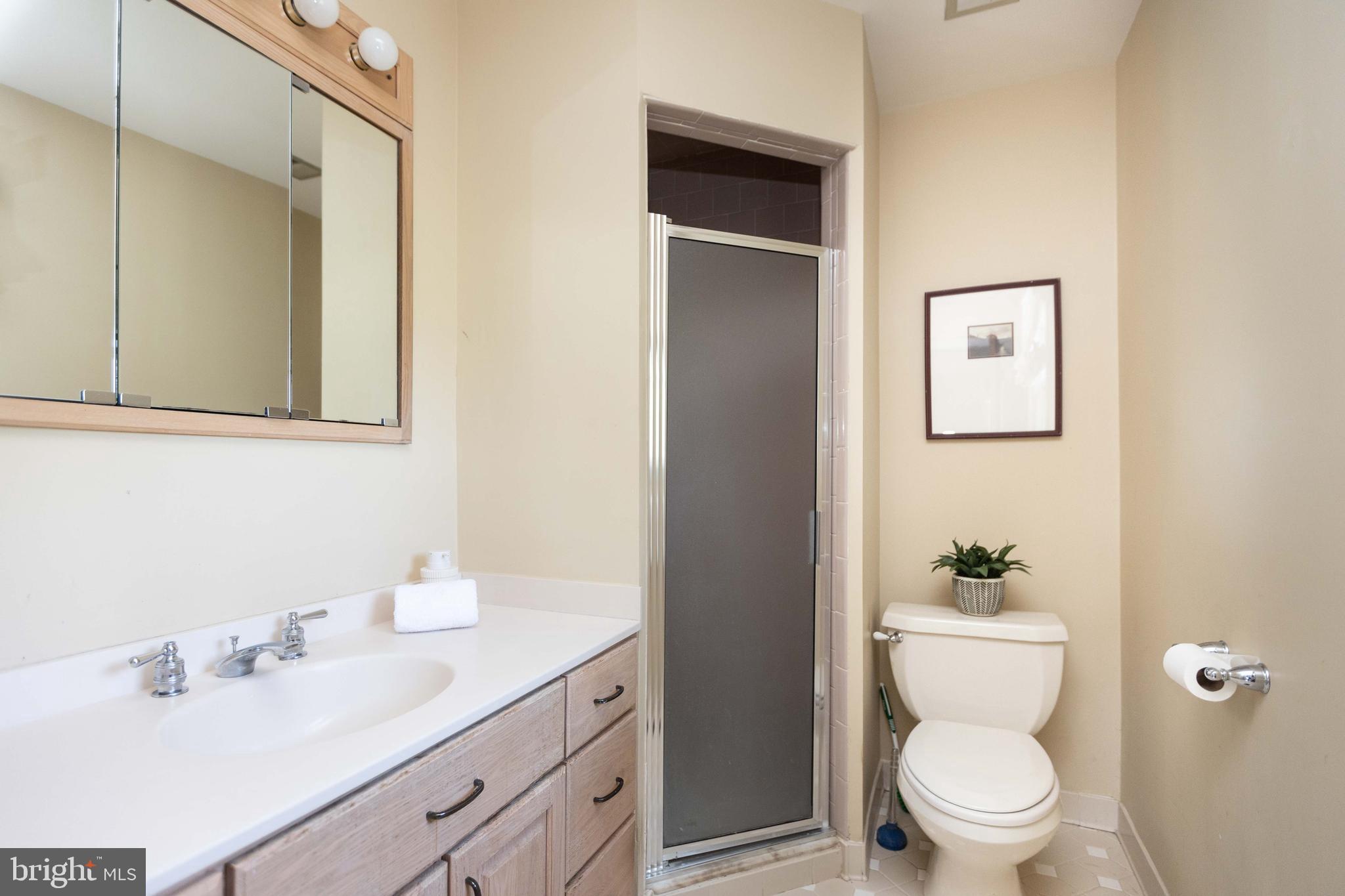 17605 Grace Road Hampstead, MD 21074 - Photo 19 of 50 Primary bathroom with shower