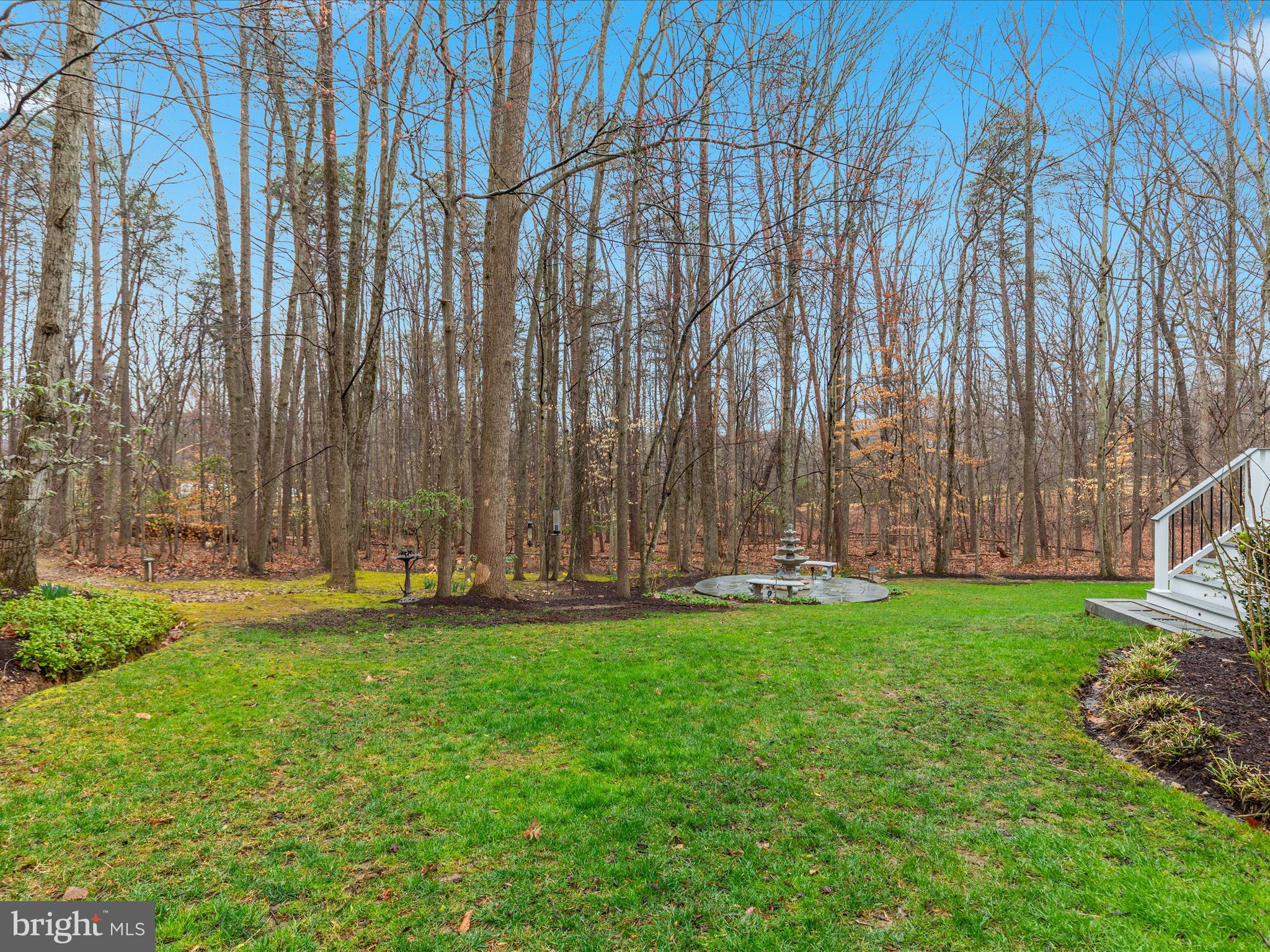 11701 Henderson Road Clifton, VA 20124 - Photo 36 of 61 a view of a yard with a large tree