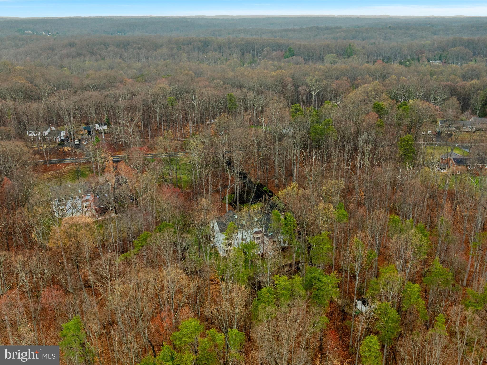 11701 Henderson Road Clifton, VA 20124 - Photo 52 of 61 a view of a forest with a houses